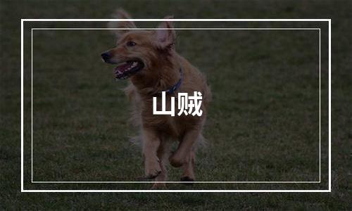 山贼