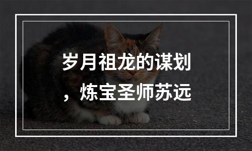岁月祖龙的谋划，炼宝圣师苏远