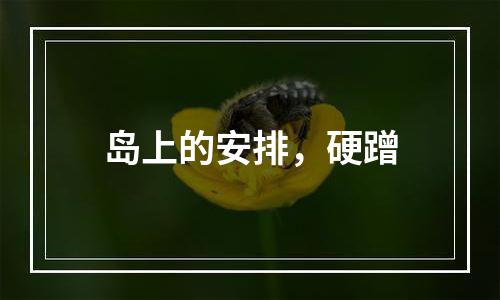 岛上的安排，硬蹭