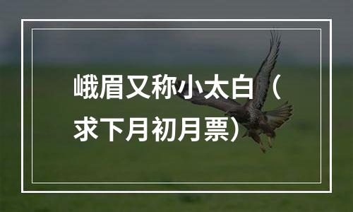 峨眉又称小太白（求下月初月票）