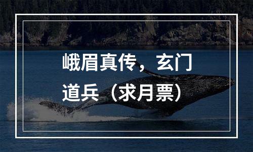 峨眉真传，玄门道兵（求月票）
