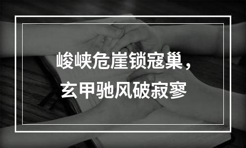 峻峡危崖锁寇巢， 玄甲驰风破寂寥