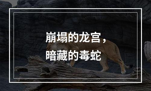 崩塌的龙宫，暗藏的毒蛇