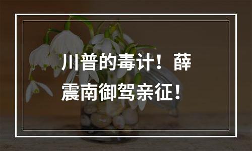 川普的毒计！薛震南御驾亲征！