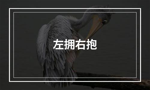 左拥右抱
