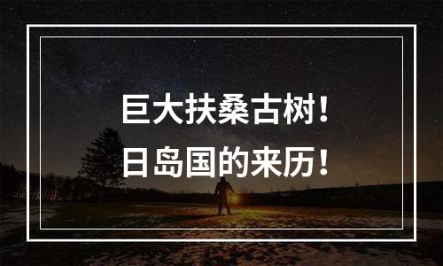 巨大扶桑古树！日岛国的来历！
