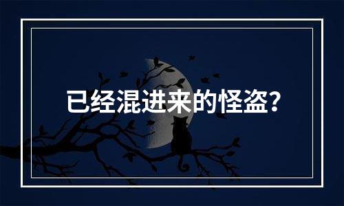 已经混进来的怪盗？