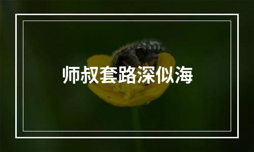 师叔套路深似海