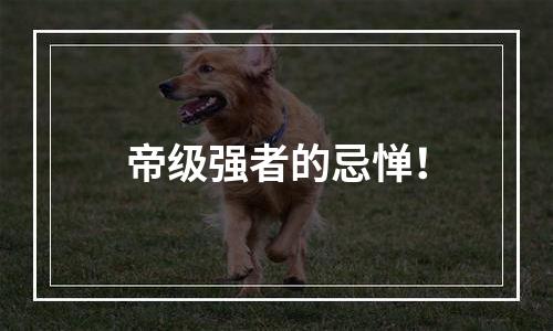 帝级强者的忌惮！