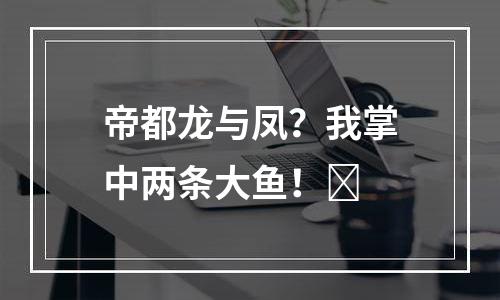 帝都龙与凤？我掌中两条大鱼！​