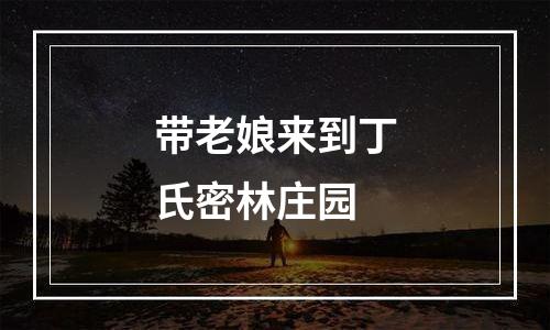 带老娘来到丁氏密林庄园