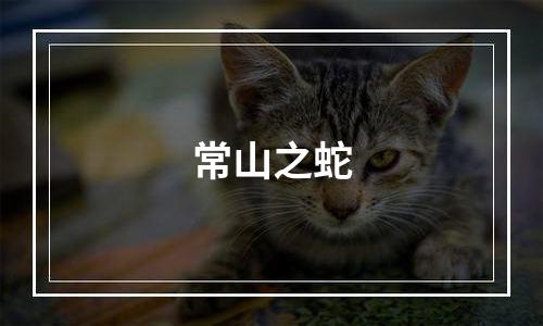 常山之蛇