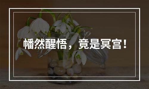 幡然醒悟，竟是冥宫！