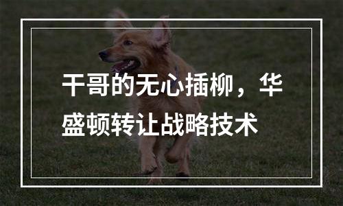 干哥的无心插柳，华盛顿转让战略技术