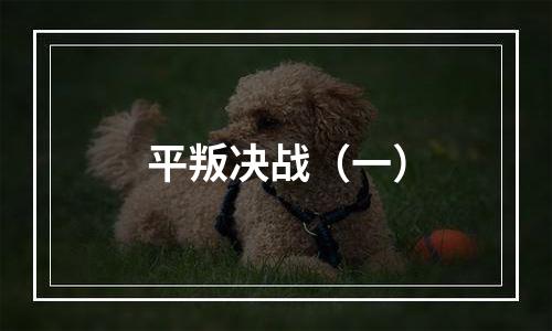 平叛决战（一）