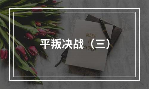 平叛决战（三）