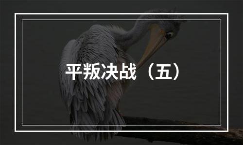 平叛决战（五）