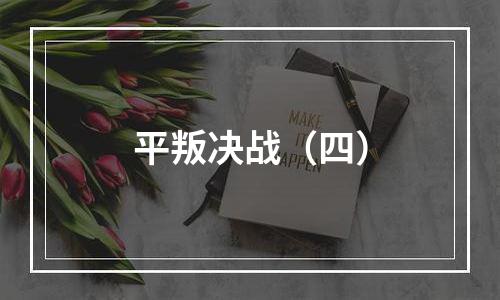 平叛决战（四）