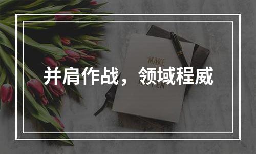 并肩作战，领域程威