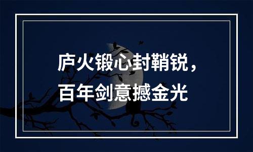 庐火锻心封鞘锐，百年剑意撼金光
