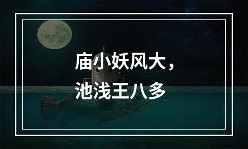 庙小妖风大，池浅王八多