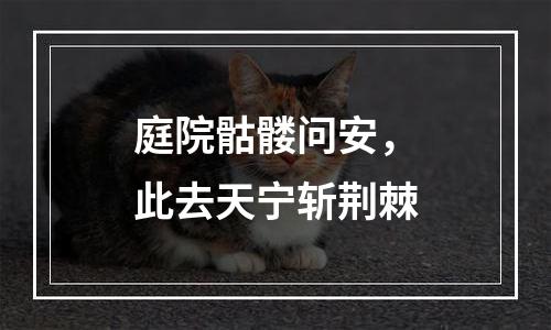 庭院骷髅问安，此去天宁斩荆棘
