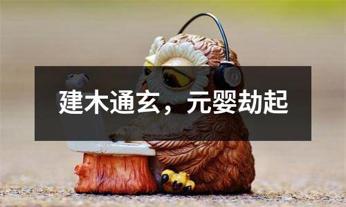 建木通玄，元婴劫起