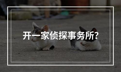 开一家侦探事务所？