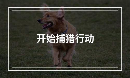 开始捕猎行动