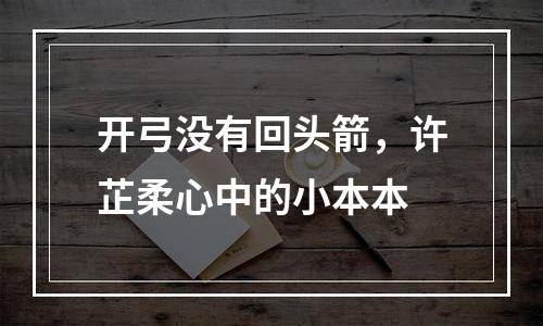 开弓没有回头箭，许芷柔心中的小本本