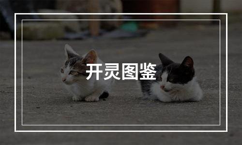 开灵图鉴