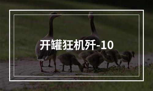 开罐狂机歼-10
