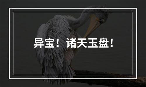 异宝！诸天玉盘！