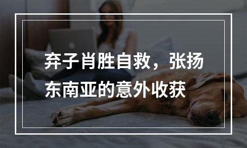 弃子肖胜自救，张扬东南亚的意外收获