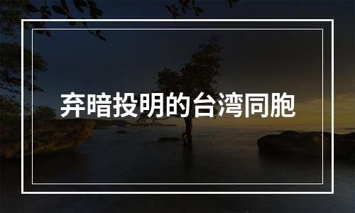 弃暗投明的台湾同胞