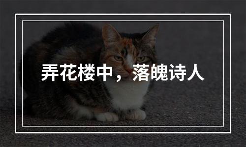 弄花楼中，落魄诗人