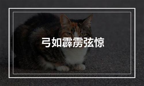 弓如霹雳弦惊