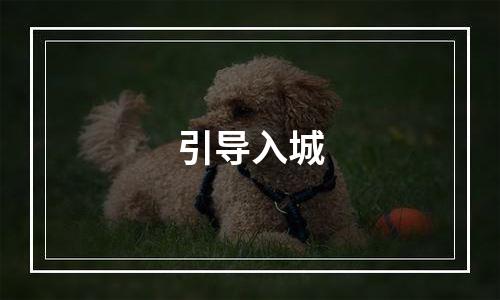 引导入城
