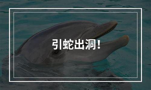 引蛇出洞！