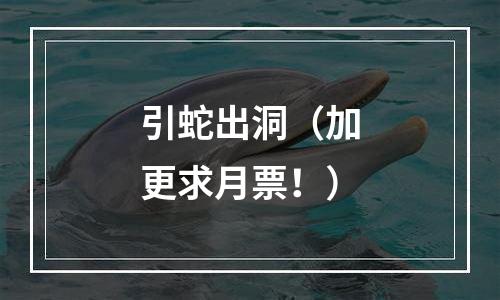 引蛇出洞（加更求月票！）
