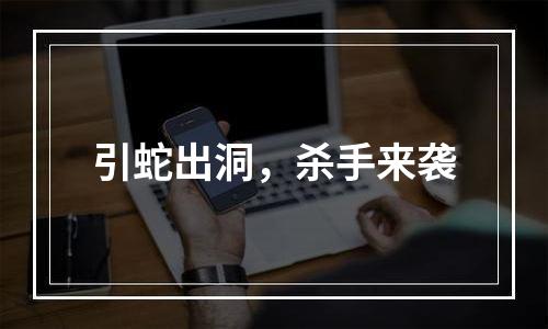 引蛇出洞，杀手来袭