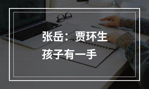 张岳：贾环生孩子有一手