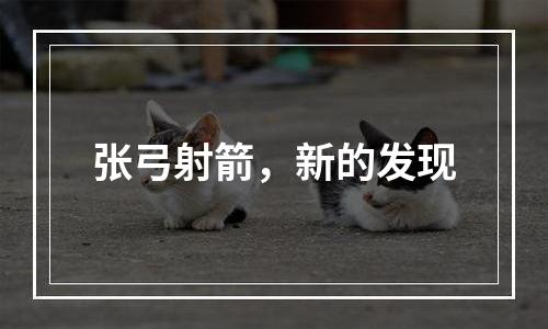 张弓射箭，新的发现