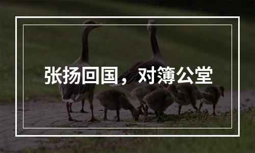 张扬回国，对簿公堂