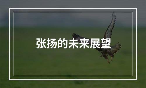 张扬的未来展望