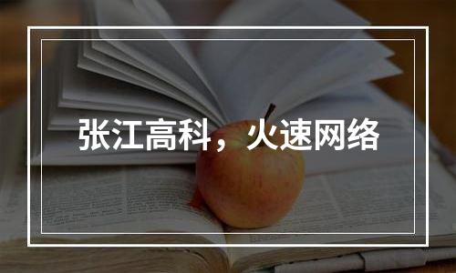 张江高科，火速网络
