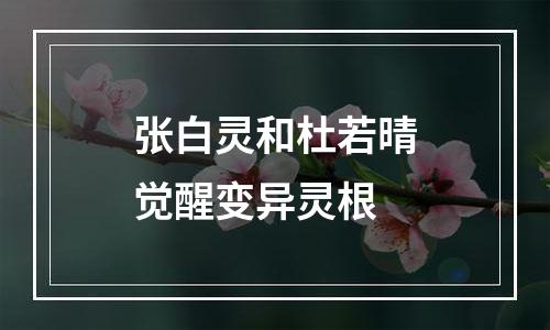 张白灵和杜若晴觉醒变异灵根