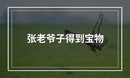 张老爷子得到宝物