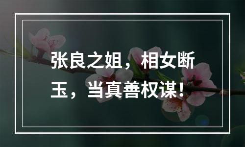张良之姐，相女断玉，当真善权谋！