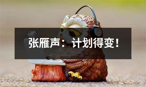 张雁声：计划得变！